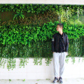 New design customized artificial plant green wall with foliage